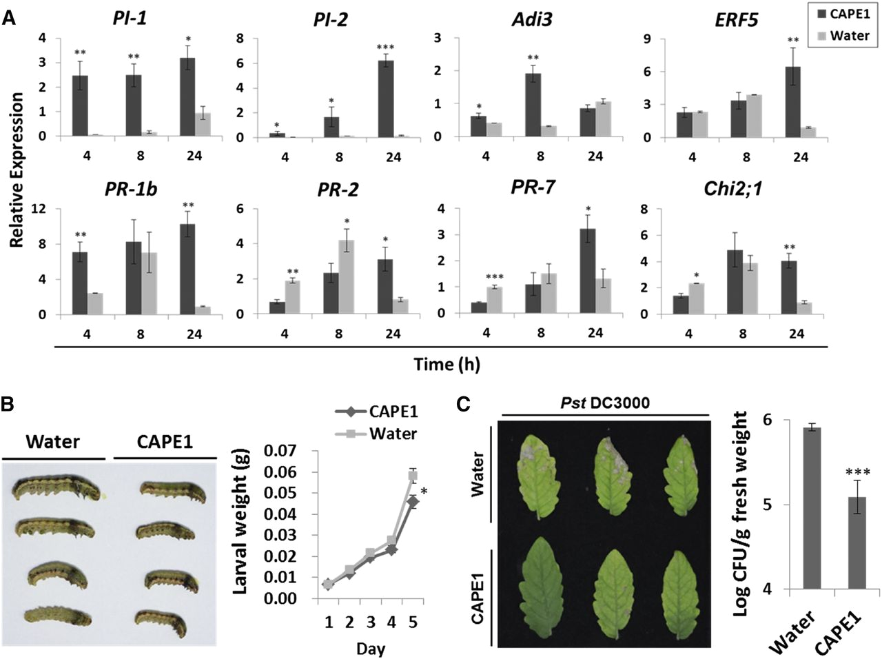 Lithonia Ps1400 Wiring Diagram Power Sentry Ps1400 Wire Diagram Wiring Library Lithonia Ps1400 Wiring Diagram Power Sentry Ps1400 Wire Diagram Wiring Library