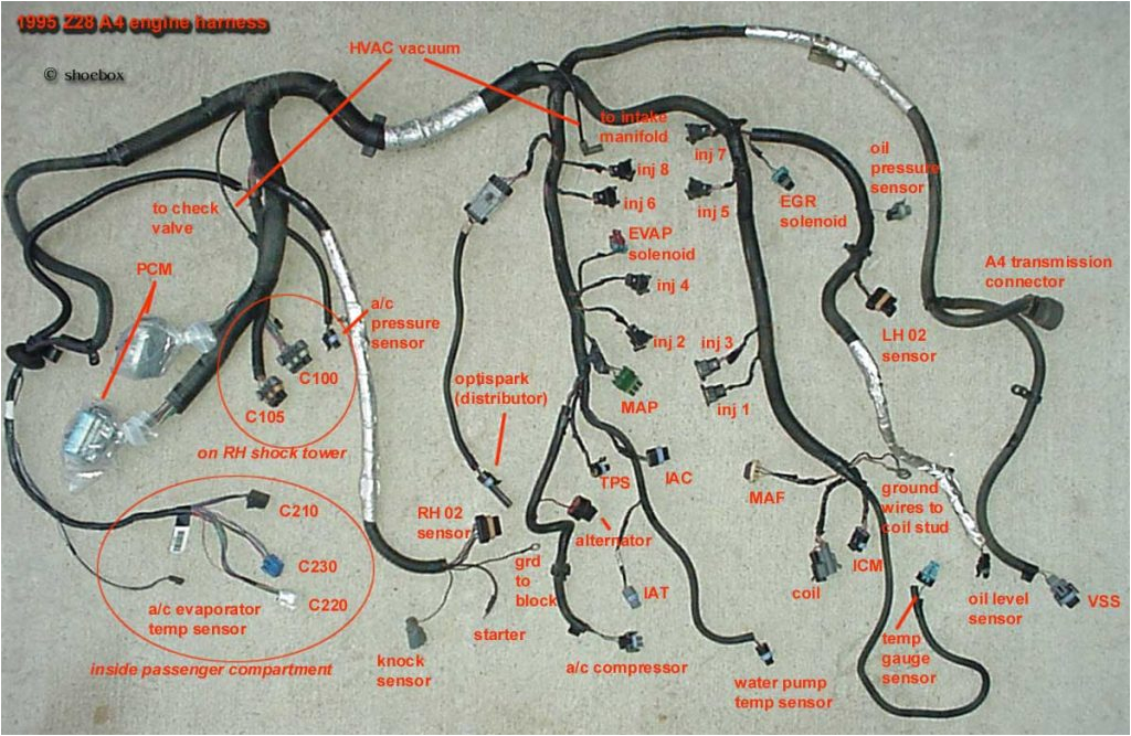 Ls Standalone Wiring Harness Diagram Swap Wiring Harness Lt1 Wiring Harness Diagram Ls1 Engine Swap Ls Standalone Wiring Harness Diagram Swap Wiring Harness Lt1 Wiring Harness Diagram Ls1 Engine Swap