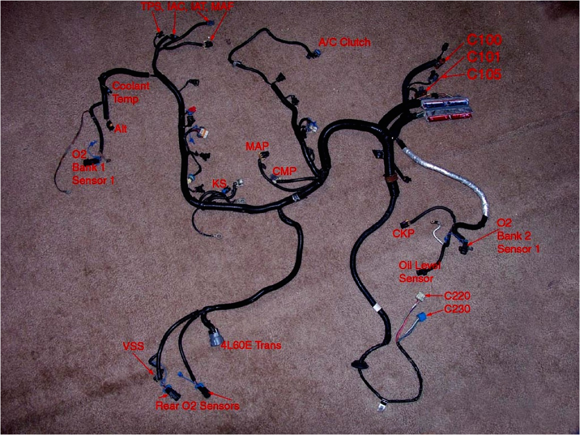 Ls Swap Wiring Diagram Ls Swap Wiring Diagram 1998 Wiring Diagram List Ls Swap Wiring Diagram Ls Swap Wiring Diagram 1998 Wiring Diagram List