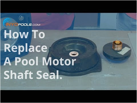 Marathon Pool Pump Motor Wiring Diagram How to Replace A Pool Motor Shaft Seal Inyopools Com Marathon Pool Pump Motor Wiring Diagram How to Replace A Pool Motor Shaft Seal Inyopools Com