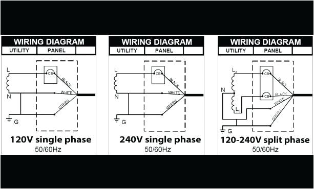 Msd 3 Step Wiring Diagram Msd 3 Step Wiring Diagram Wiring Diagram Technic Msd 3 Step Wiring Diagram Msd 3 Step Wiring Diagram Wiring Diagram Technic