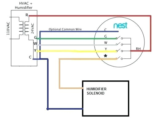Nest thermostat Humidifier Wiring Diagram Nest thermostat Humidity Cartin Co Nest thermostat Humidifier Wiring Diagram Nest thermostat Humidity Cartin Co