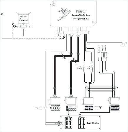 Parrot Ck3100 Lcd Wiring Diagram Parrot Ck3100 Wiring Diagram Bcberhampur org Parrot Ck3100 Lcd Wiring Diagram Parrot Ck3100 Wiring Diagram Bcberhampur org