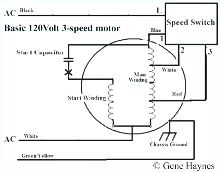 Patton Fan Wiring Diagram Fasco Furnace Motor Wiring Diagrams Wiring Diagram Patton Fan Wiring Diagram Fasco Furnace Motor Wiring Diagrams Wiring Diagram