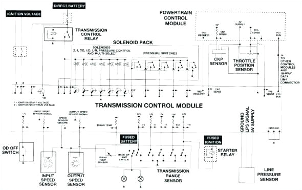 Pioneer Speaker Wiring Diagram Pioneer Wiring Diagram Fresh Car Stereo Photos Harness Premier Wire Pioneer Speaker Wiring Diagram Pioneer Wiring Diagram Fresh Car Stereo Photos Harness Premier Wire