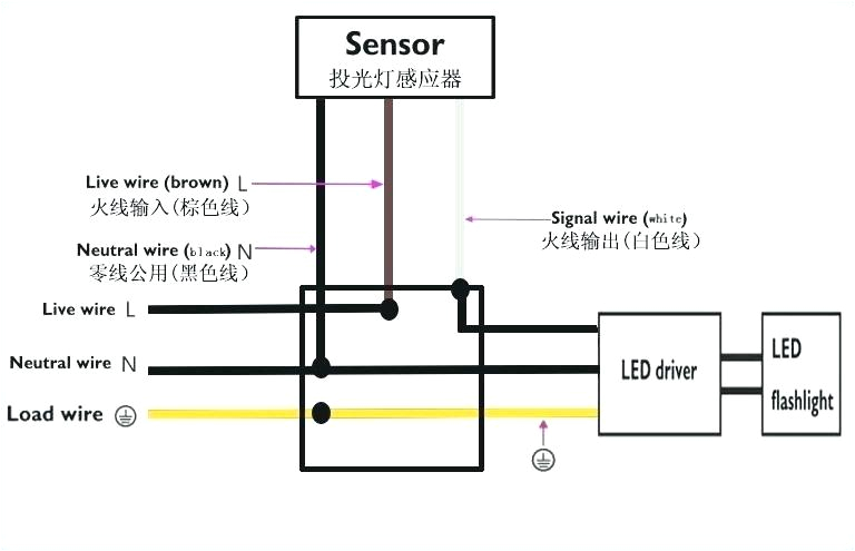 Pir Floodlight Wiring Diagram Flood Light Wiring Vilttitarha Info Pir Floodlight Wiring Diagram Flood Light Wiring Vilttitarha Info