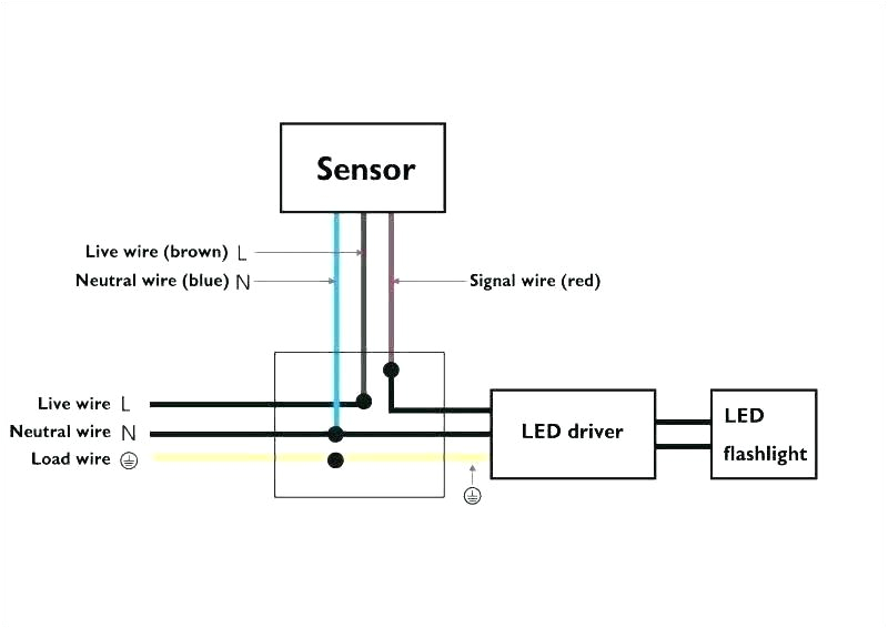 Pir Floodlight Wiring Diagram Light Sensor Wiring Diagram Wiring Diagram Technic