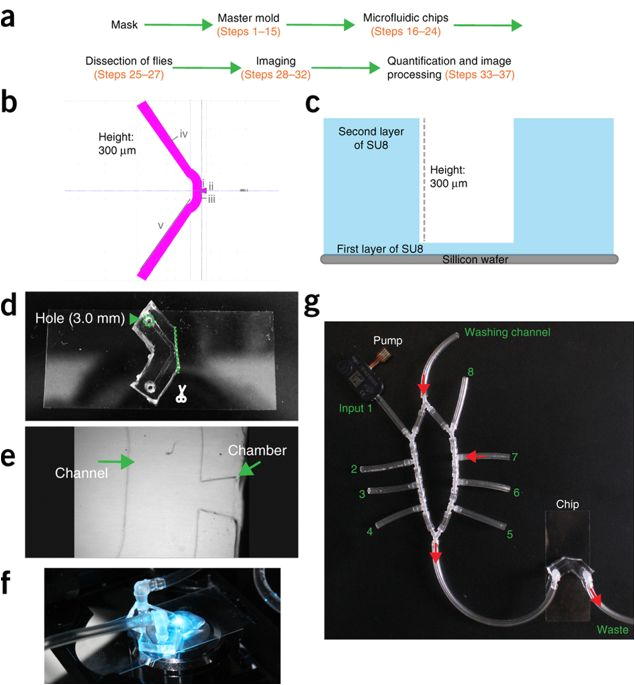 Pm 8000 Wiring Diagram Pm 8000 Wiring Diagram Awesome Schneider Electric Wiring Diagrams Pm 8000 Wiring Diagram Pm 8000 Wiring Diagram Awesome Schneider Electric Wiring Diagrams