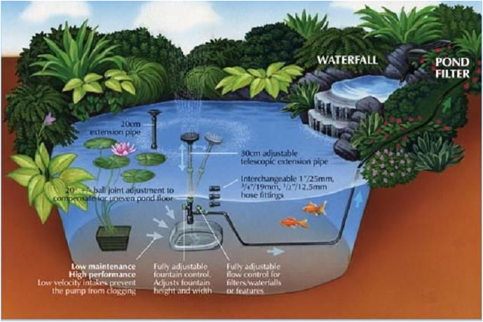 Pond Wiring Diagram Midipond Pond Diagram Fish Pond Technic Mini Pond Pond Aquarium Pond Wiring Diagram Midipond Pond Diagram Fish Pond Technic Mini Pond Pond Aquarium