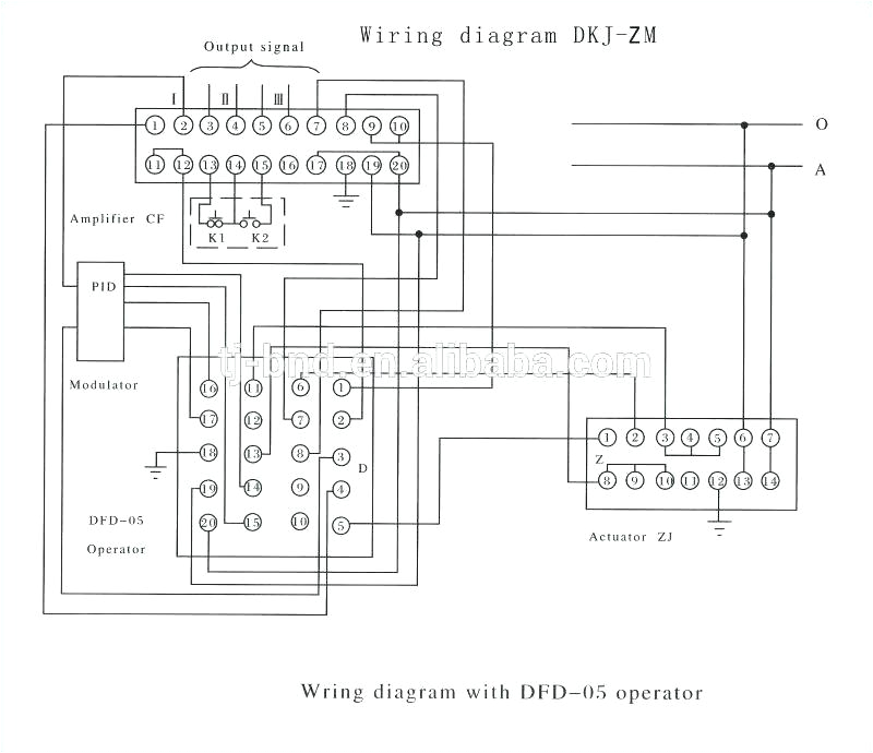 Rotork Valve Actuator Wiring Diagram Auma Actuator Circuit Diagram Wiring Data Schema Exp Valve for Log 5