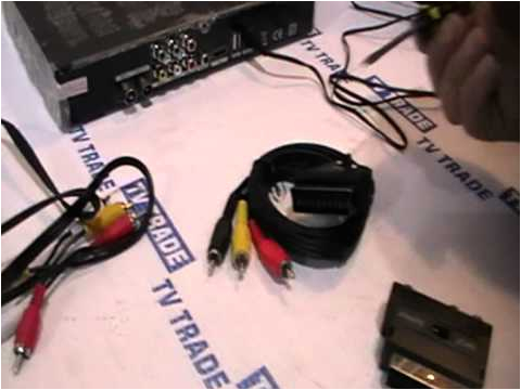 Scart Plug Wiring Diagram Rca to Scart Adaptor Youtube