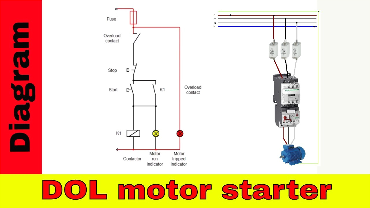 Single Phase Dol Starter Wiring Diagram Electrical Contactor Diagram Wiring Diagram Single Phase Dol Starter Wiring Diagram Electrical Contactor Diagram Wiring Diagram