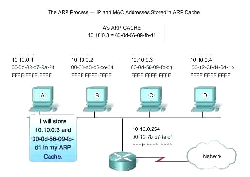 Single Pole Wiring Diagram Single Pole Vs Double Pole Breaker Stephenhawking Site Single Pole Wiring Diagram Single Pole Vs Double Pole Breaker Stephenhawking Site