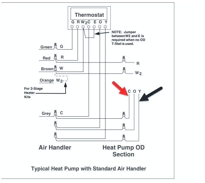 Stator Wiring Diagram Yamaha Blaster Wiring Eastofengland Co