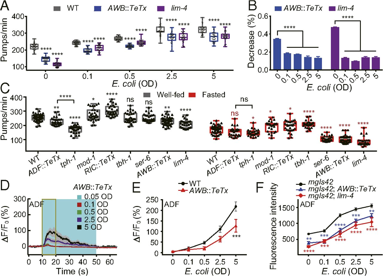 Tariff 33 Wiring Diagram Reciprocal Modulation Of 5 Ht and Octopamine Regulates Pumping Via Tariff 33 Wiring Diagram Reciprocal Modulation Of 5 Ht and Octopamine Regulates Pumping Via