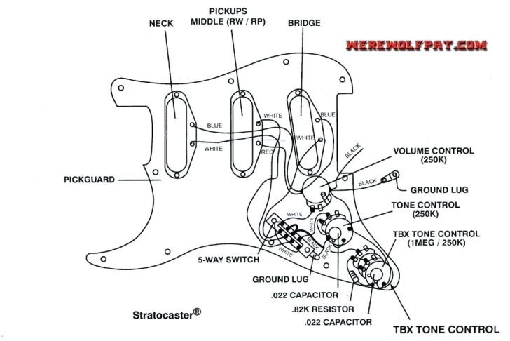 Telecaster Plus Wiring Diagram Squier Bullet Wiring Diagram Wiring Diagram Article Review
