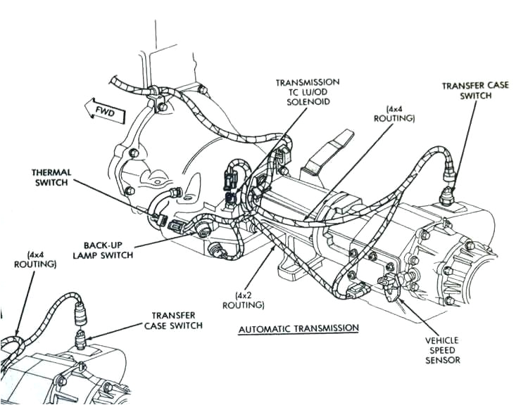 Trailer Hitch Wiring Diagram Trailer Hitch Wiring Diagram Avivlocks Com Trailer Hitch Wiring Diagram Trailer Hitch Wiring Diagram Avivlocks Com