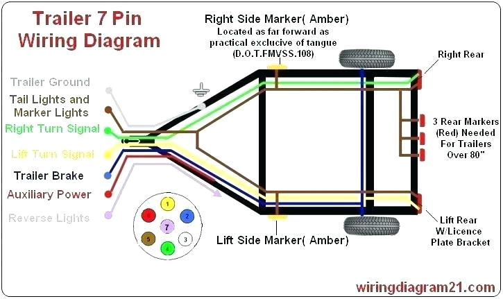 Trailer Lights Wiring Diagram 5 Way Auto Marker Lights Wiring Wiring Diagram Datasource Trailer Lights Wiring Diagram 5 Way Auto Marker Lights Wiring Wiring Diagram Datasource