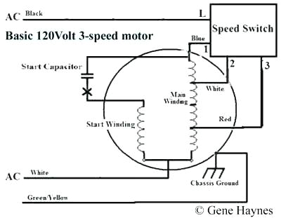 Two Speed Fan Motor Wiring Diagram Ebm Fans Australia Wiring Diagram Wiring Diagram Option