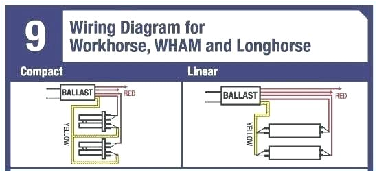 Wh3 120 L Wiring Diagram Workhorse 2 Ballast Wiring Diagram Wiring Diagram Sample