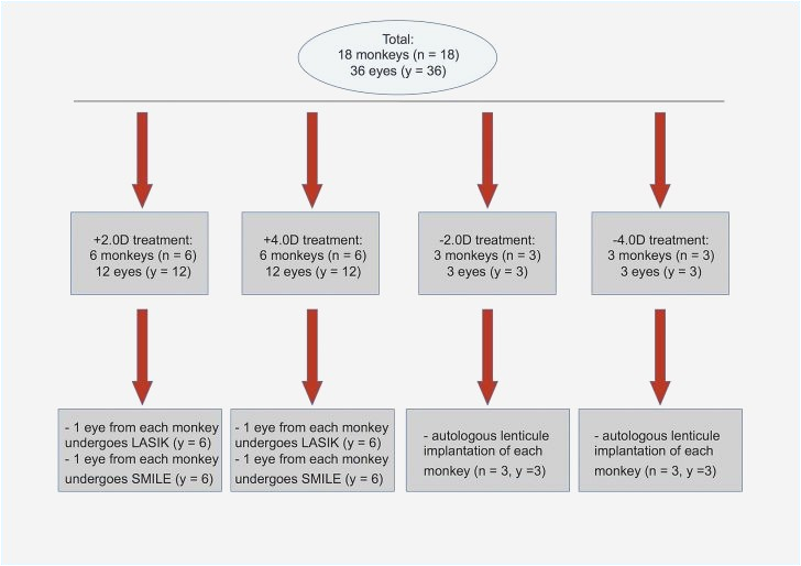 Wire Diagram Maker Photo Eye Wiring Diagram Awesome Circuit Diagram Maker Line