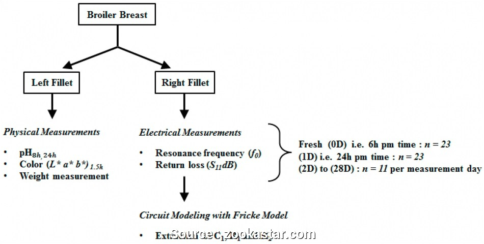 Wiring A Switched Outlet Diagram How to Install An Electrical Outlet From A Light Switch Most Wiring Wiring A Switched Outlet Diagram How to Install An Electrical Outlet From A Light Switch Most Wiring