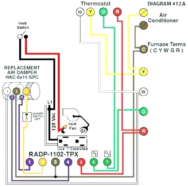 Wiring Diagram for 3 Speed Ceiling Fan Switch Hampton Bay Ceiling Fan Switch Wiring Diagram Colchicine Club Wiring Diagram for 3 Speed Ceiling Fan Switch Hampton Bay Ceiling Fan Switch Wiring Diagram Colchicine Club