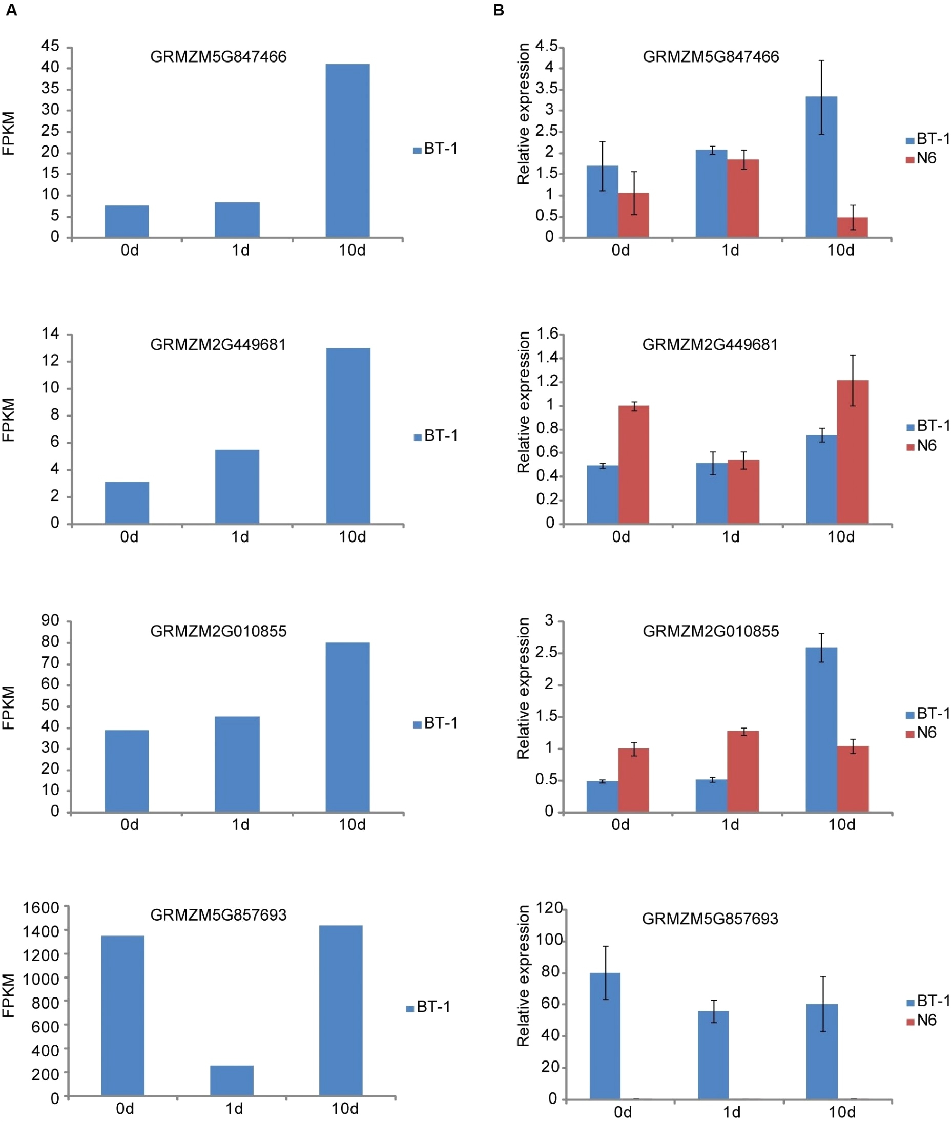 Wiring Diagram for Alternator Chevy Chevy 350 Alternator Wiring Diagram Beautiful 1975 Chevy Alternator Wiring Diagram for Alternator Chevy Chevy 350 Alternator Wiring Diagram Beautiful 1975 Chevy Alternator