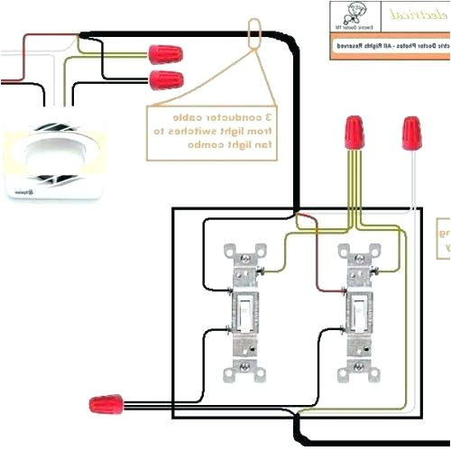 Wiring Diagram for Bathroom Fan From Light Switch Bathroom Exhaust Fan and Light Heymylady Com Wiring Diagram for Bathroom Fan From Light Switch Bathroom Exhaust Fan and Light Heymylady Com