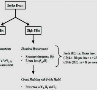Wiring Diagram for Dimmer Switch Single Pole Leviton Dimmers Wiring Diagram Leviton Single Pole Switch Wiring Wiring Diagram for Dimmer Switch Single Pole Leviton Dimmers Wiring Diagram Leviton Single Pole Switch Wiring