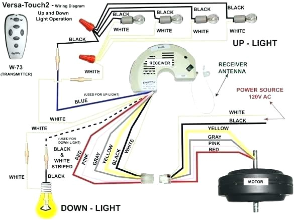 Wiring Diagram for Hunter Ceiling Fan Wiring Diagram for Ceiling Fan Bookingritzcarlton Info Wiring Diagram for Hunter Ceiling Fan Wiring Diagram for Ceiling Fan Bookingritzcarlton Info