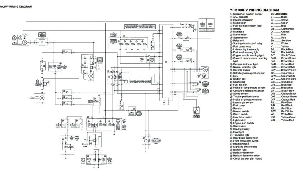 Yamaha Warrior 350 Wiring Diagram Wiring Diagram 89 Yamaha Warrior 350 Wiring Diagram Paper