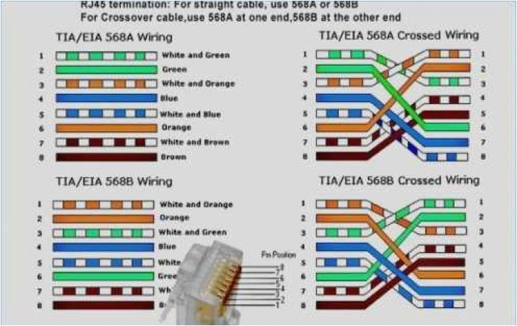 1000base T Wiring Diagram 1000base T Wiring Diagram Wiring Diagram 1000base T Wiring Diagram 1000base T Wiring Diagram Wiring Diagram