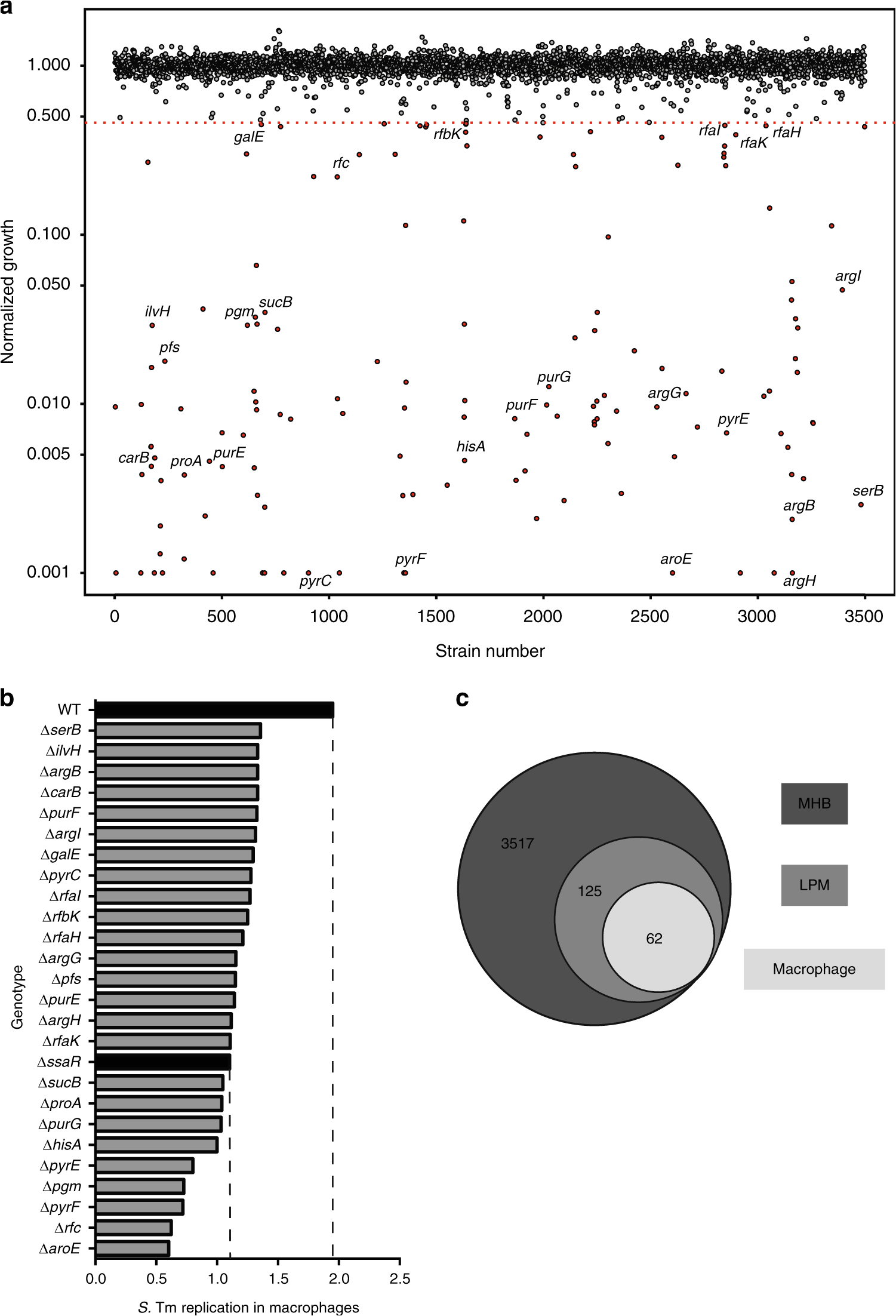 1794 Ie12 Wiring Diagram A Macrophage Based Screen Identifies Antibacterial Compounds 1794 Ie12 Wiring Diagram A Macrophage Based Screen Identifies Antibacterial Compounds