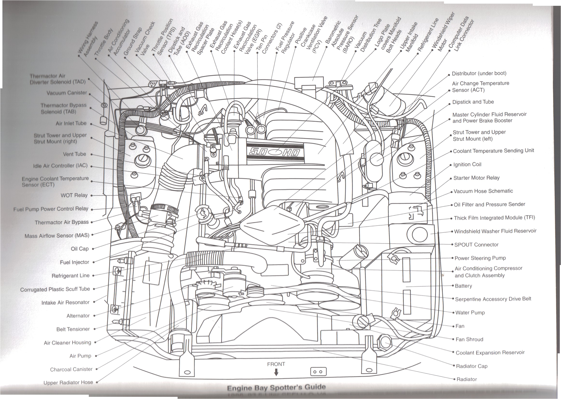 1989 Mustang Wiring Diagram ford 5 0 Efi Wiring Harness Wiring Diagram Completed 1989 Mustang Wiring Diagram ford 5 0 Efi Wiring Harness Wiring Diagram Completed
