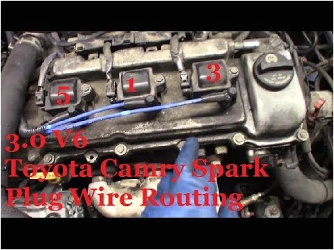 1999 toyota Camry Spark Plug Wire Diagram toyota Sienna Spark Plug Wiring Diagram Wiring Diagram Standard 1999 toyota Camry Spark Plug Wire Diagram toyota Sienna Spark Plug Wiring Diagram Wiring Diagram Standard