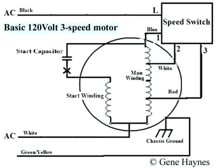 3 Speed Ceiling Fan Motor Wiring Diagram 3 Speed Motor Wiring Diagram Inspirational Single Phase 2 Speed
