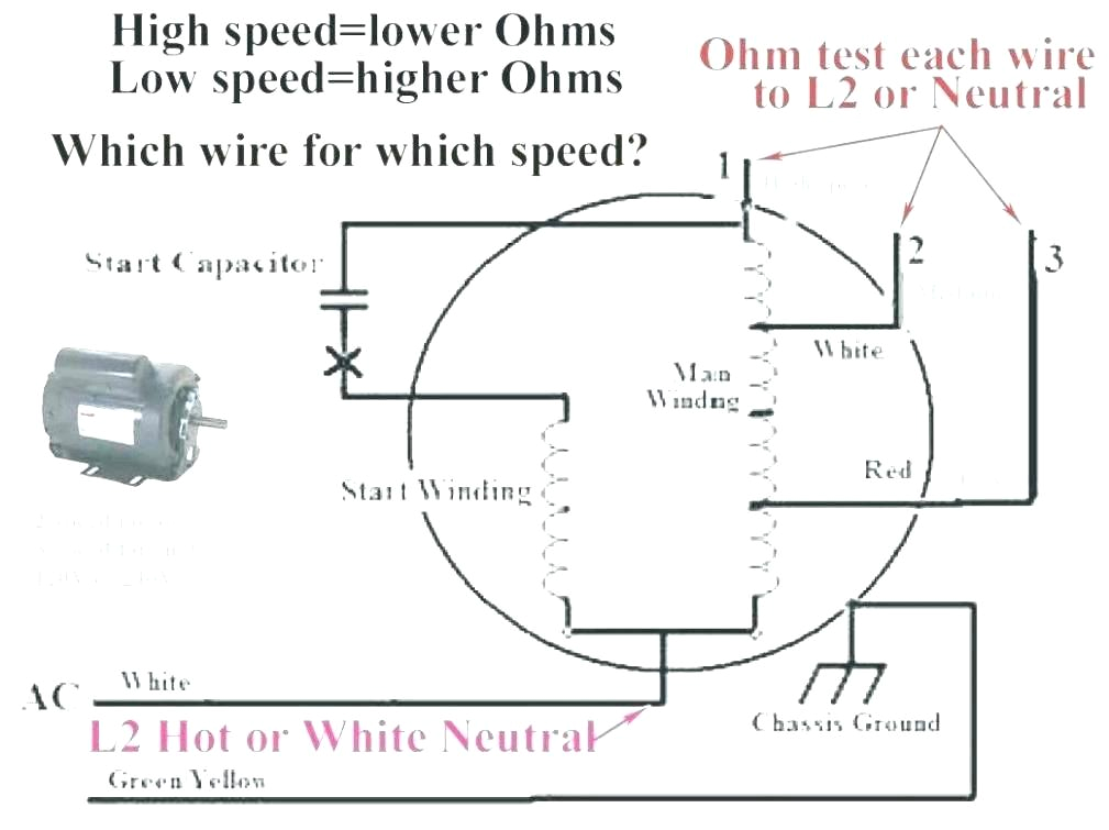 3 Speed Ceiling Fan Pull Chain Switch Wiring Diagram 3 Speed Ceiling Fan Switch Wiring Chuckleaver Co 3 Speed Ceiling Fan Pull Chain Switch Wiring Diagram 3 Speed Ceiling Fan Switch Wiring Chuckleaver Co
