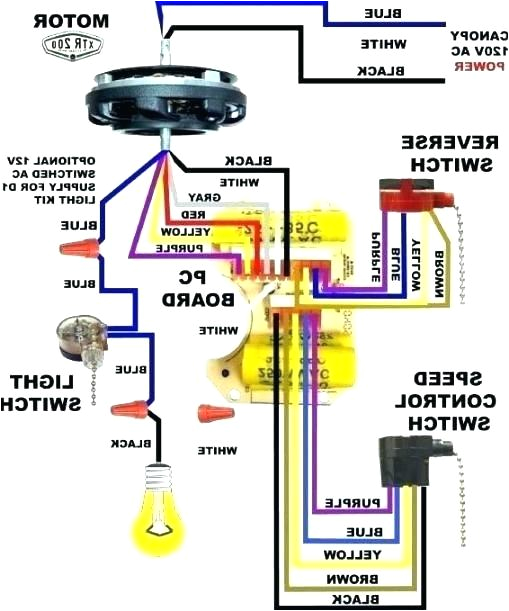 3 Speed Ceiling Fan Pull Chain Switch Wiring Diagram Chain Switch Wiring Diagram Wiring Diagram Standard 3 Speed Ceiling Fan Pull Chain Switch Wiring Diagram Chain Switch Wiring Diagram Wiring Diagram Standard