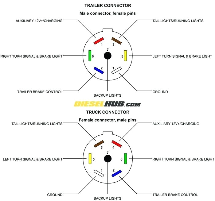 5 Pin Flat Trailer Plug Wiring Diagram Trailer Connector Diagrams 4 6 7 Pin Connectors Wiring Diagram Flat 5 Pin Flat Trailer Plug Wiring Diagram Trailer Connector Diagrams 4 6 7 Pin Connectors Wiring Diagram Flat