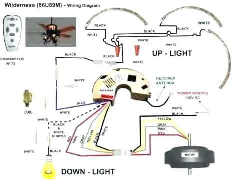 5 Wire Ceiling Fan Switch Diagram Installing 5 Wire Ceiling Fan Capacitor Lapcozy Co 5 Wire Ceiling Fan Switch Diagram Installing 5 Wire Ceiling Fan Capacitor Lapcozy Co