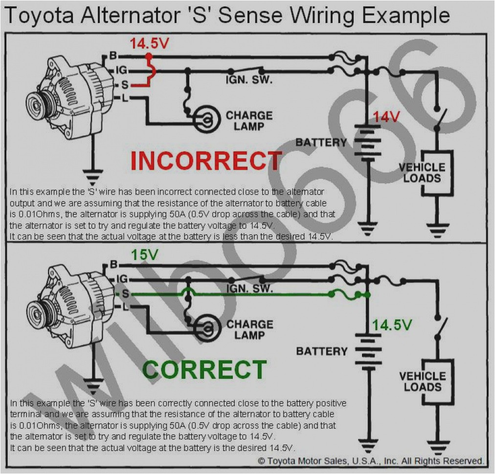 7.3 Alternator Wiring Diagram toyota Tacoma Alternator Wiring Wiring Diagram Data 7.3 Alternator Wiring Diagram toyota Tacoma Alternator Wiring Wiring Diagram Data