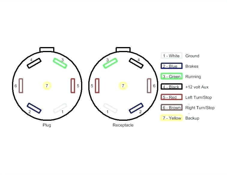 7 Wire Trailer Wiring Diagram Calico Trailers Wiring Diagram Wiring Diagram Show