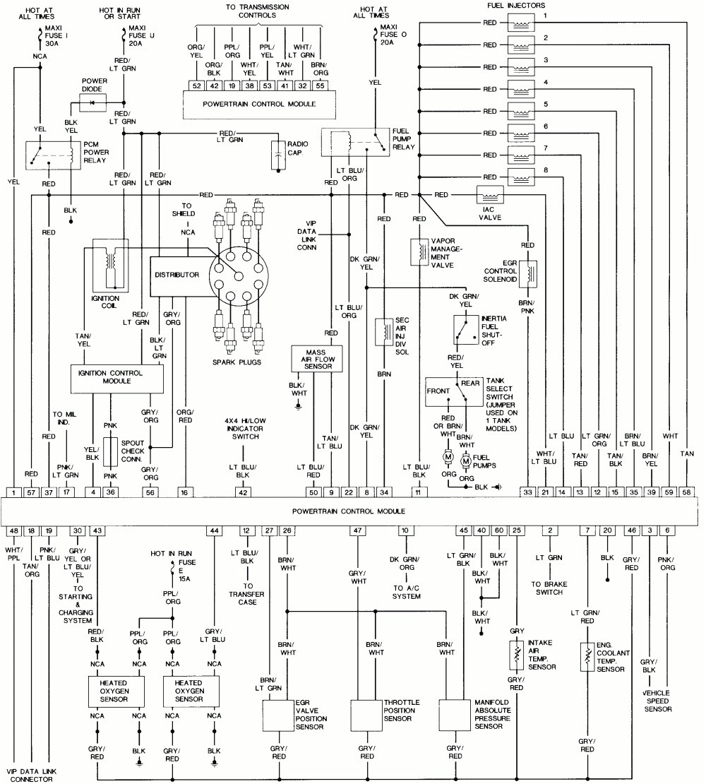 94 F150 Wiring Diagram 1995 F150 5 0 Engine Diagram Wiring Diagram New