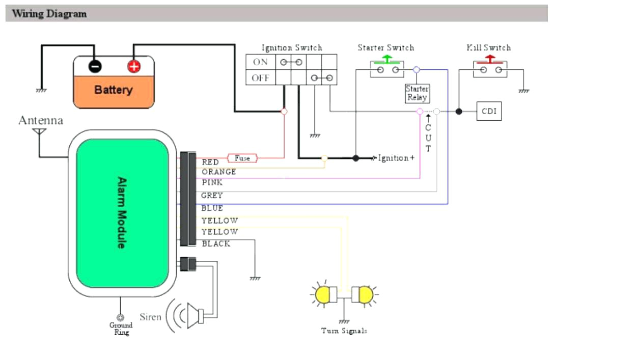 Avital 4103 Wiring Diagram Renault Remote Starter Diagram Wiring Diagrams Ments