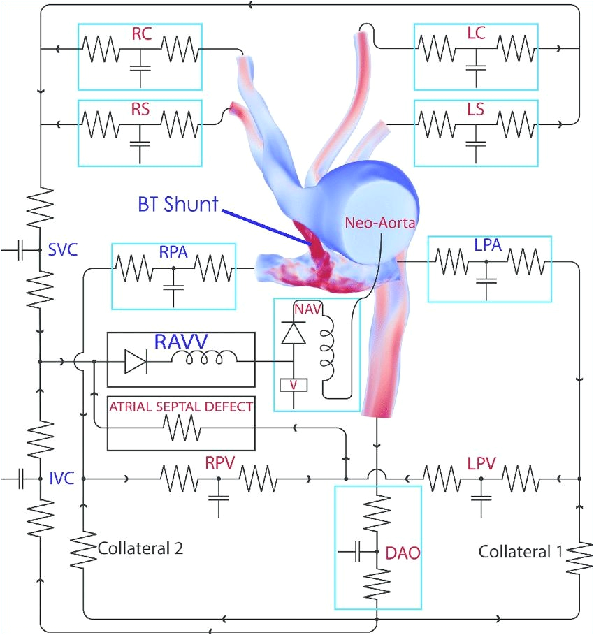 Bt Phone Wiring Diagram Bt Phone Wiring Diagram New In Loop Out Wiring Diagram Inspirational Bt Phone Wiring Diagram Bt Phone Wiring Diagram New In Loop Out Wiring Diagram Inspirational