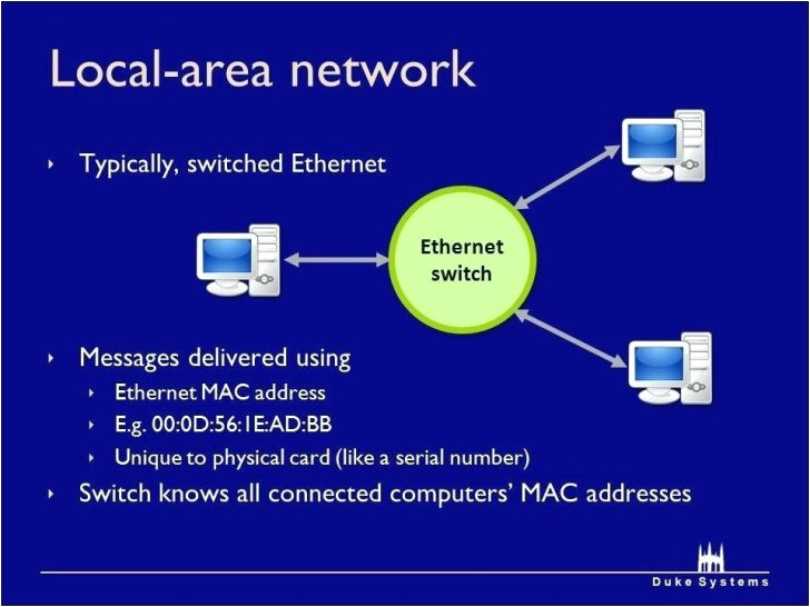 Cat Wiring Diagram Cat 5 Wiring Diagram B Wds Wiring Diagram Database Cat Wiring Diagram Cat 5 Wiring Diagram B Wds Wiring Diagram Database