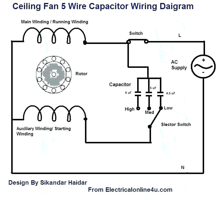 Ceiling Fan Capacitor Wiring Diagram 5 Wire Fan Motor Diagram Wiring Diagram