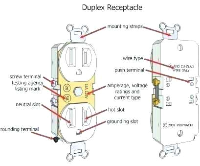 Disposal Wiring Diagram Plug Outlet Wiring Diagram A Garbage Disposal Dishwasher Electrical Disposal Wiring Diagram Plug Outlet Wiring Diagram A Garbage Disposal Dishwasher Electrical