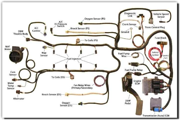 Gm Ls3 Crate Engine Wiring Diagram Gm Ls3 Wiring Diagram Use Wiring Diagram